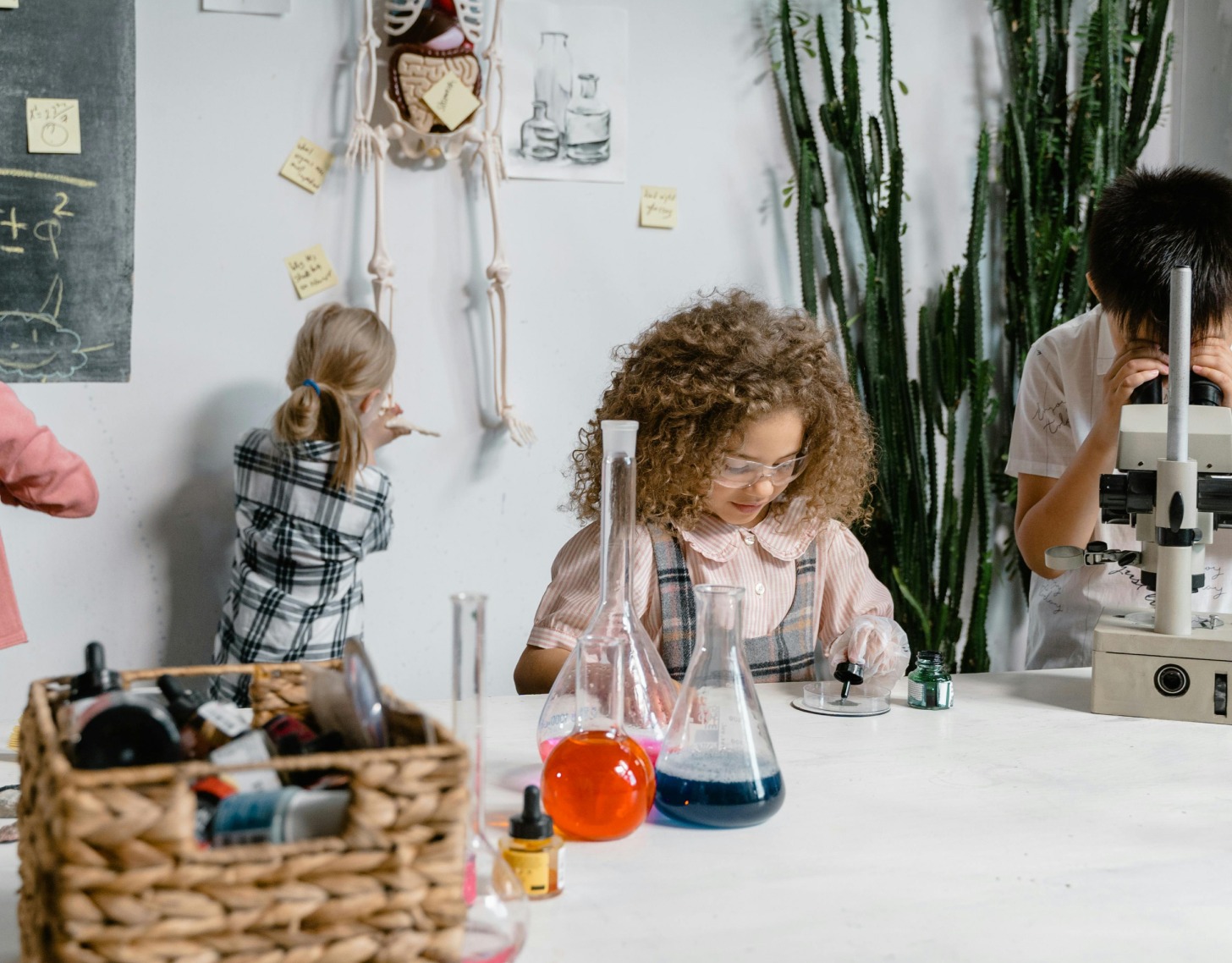 Serre agricole avec des plantes et système d'irrigation